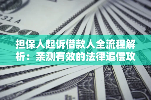 济南担保人起诉借款人全流程解析：亲测有效的法律追偿攻略