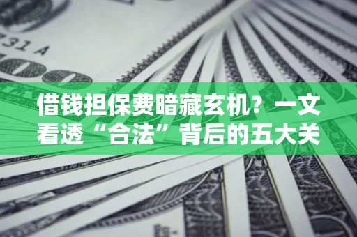 济南借钱担保费暗藏玄机？一文看透“合法”背后的五大关键陷阱