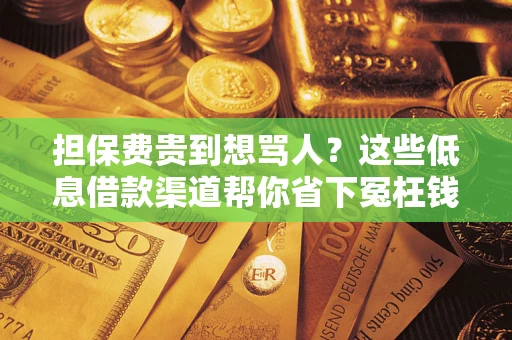 济南担保费贵到想骂人？这些低息借款渠道帮你省下冤枉钱