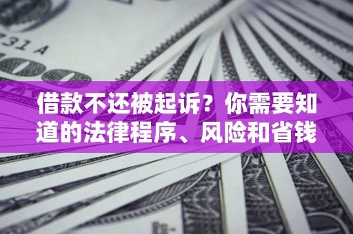 济南借款不还被起诉？你需要知道的法律程序、风险和省钱技巧